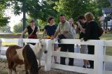LittleHorsesBigPeople
