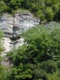 Dixie Belle on Ky River (9)
